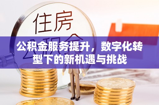 延边公积金服务提升，数字化转型下的新机遇与挑战