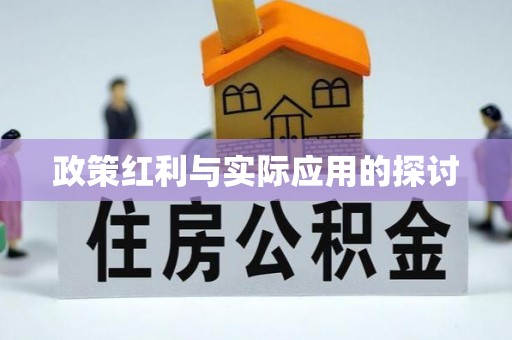 延边政策红利与实际应用的探讨