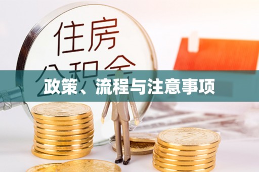 延边政策、流程与注意事项