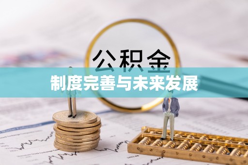 延边制度完善与未来发展